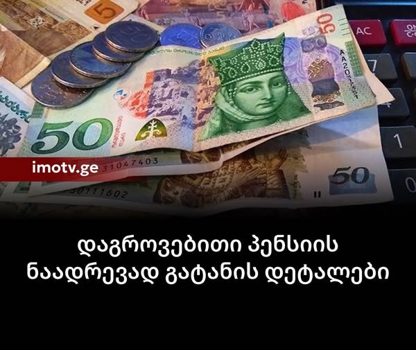 დაგროვებითი პენსიის ნაადრევად გატანის დეტალები