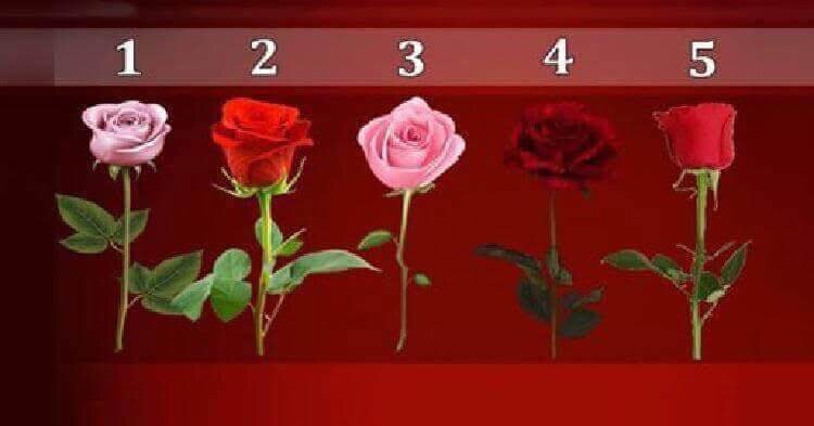 ტესტი: გვითხარი, რომელ ვარდს ირჩევ და ჩვენ გეტყვით, როდის აგიხდება სურვილები