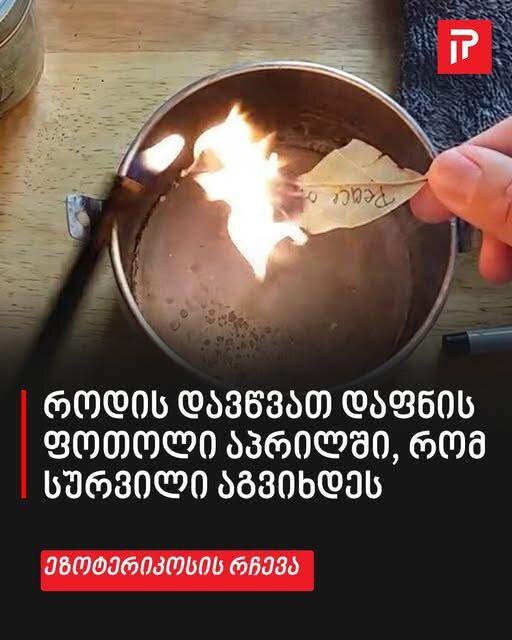 როდის დავწვათ დაფნის ფოთოლი აპრილში, რომ სურვილი აგვიხდეს – ეზოტერიკოსის  რჩევები