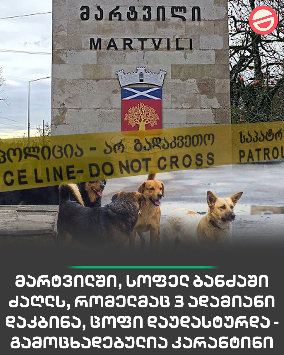 მარტვილში, კარანტინია გამოცხადებული